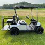 2014 RXV Electric Golf Cart